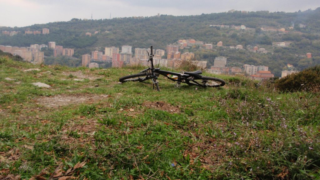 pa240178.jpg