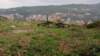 pa240178_small.jpg