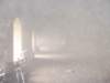 dsc05524_small.jpg