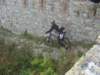 dsc05578_small.jpg