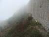 dsc05581_small.jpg