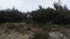 dsc05582_small.jpg