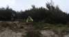 dsc05583_small.jpg