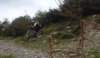 dsc05585_small.jpg