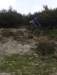 dsc05586_small.jpg