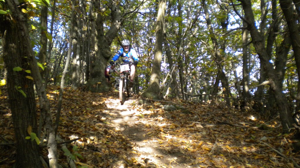 dscn2860.jpg