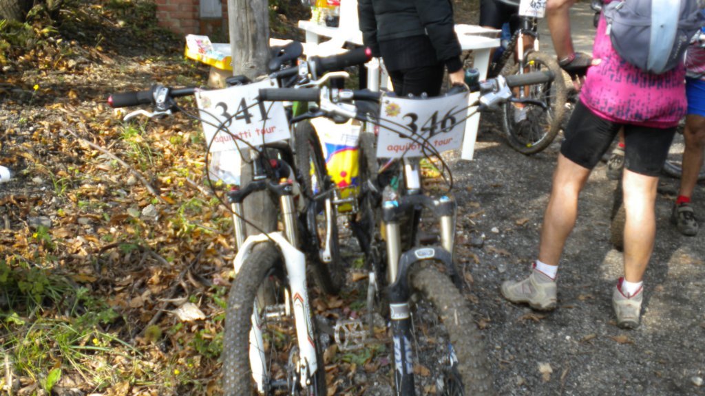 dscn2874.jpg