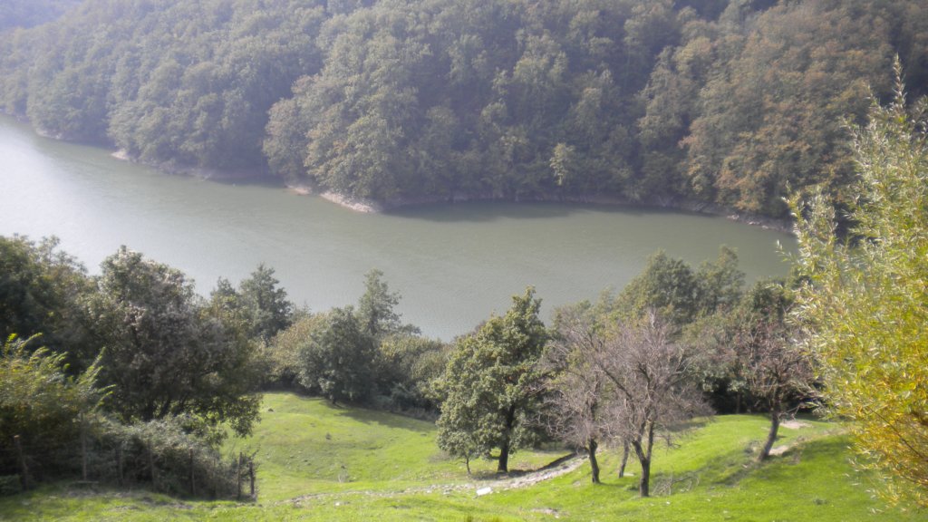 dscn2878.jpg