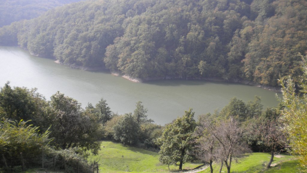 dscn2879.jpg