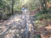 pa100120_small.jpg
