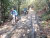 pa100121_small.jpg