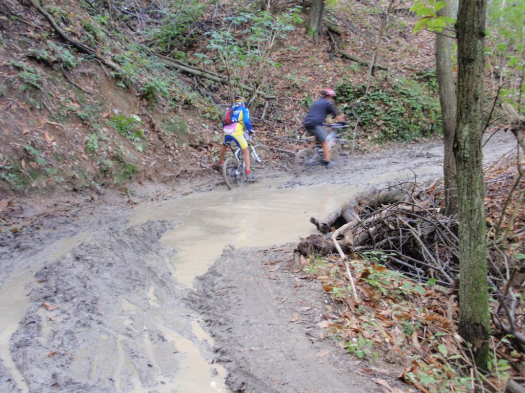 pa100124.jpg