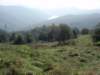 pa100157_small.jpg