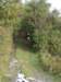 dsc05453_small.jpg
