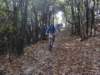 dsc05459_small.jpg
