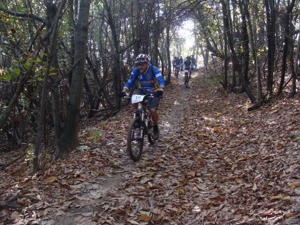 dsc05460.jpg