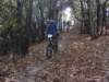 dsc05460_small.jpg