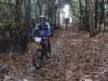 dsc05461_small.jpg