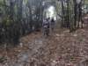 dsc05463_small.jpg