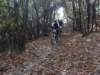dsc05464_small.jpg