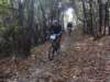 dsc05465_small.jpg