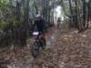 dsc05466_small.jpg