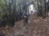 dsc05467_small.jpg