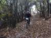dsc05468_small.jpg