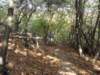 dsc05469_small.jpg