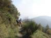 dsc05475_small.jpg