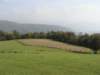 dsc05477_small.jpg