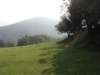 dsc05478_small.jpg