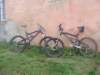 dsc05646_small.jpg