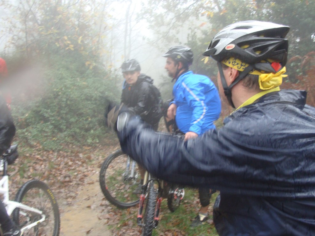 dsc05649.jpg