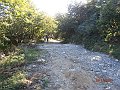 PA090042