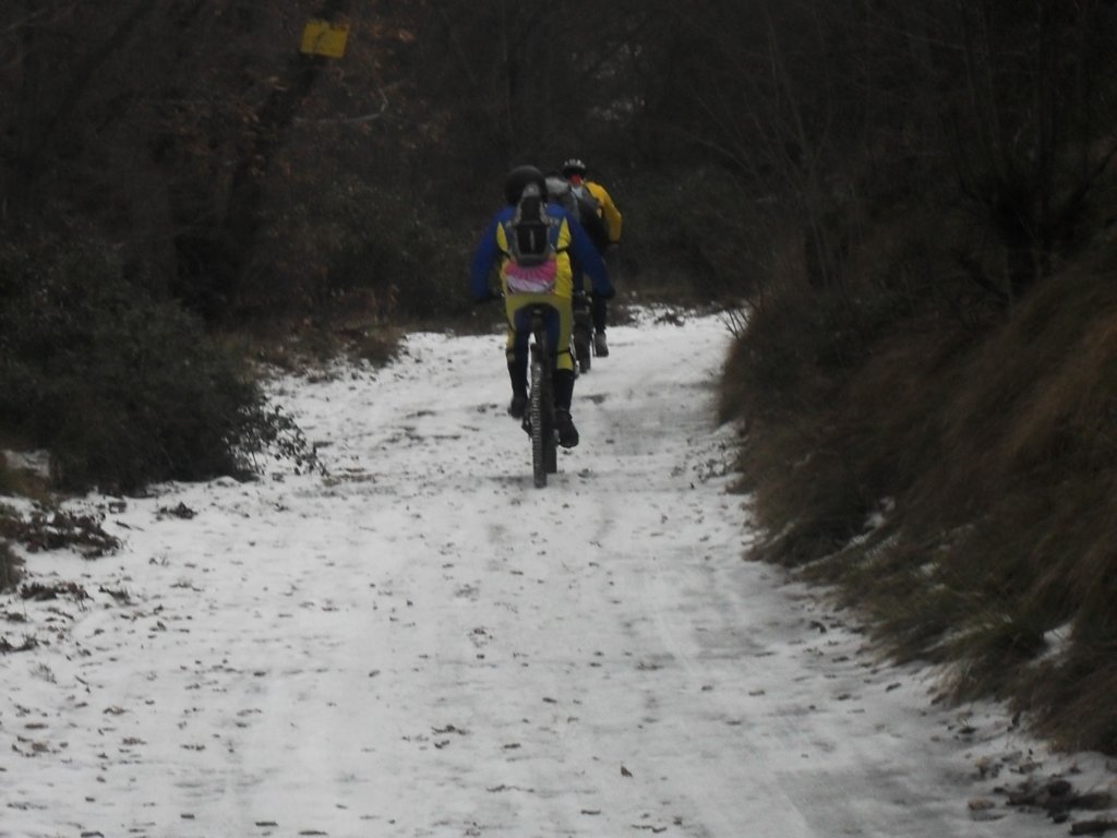 sdc10039.jpg