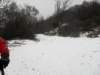 sdc10068_small.jpg