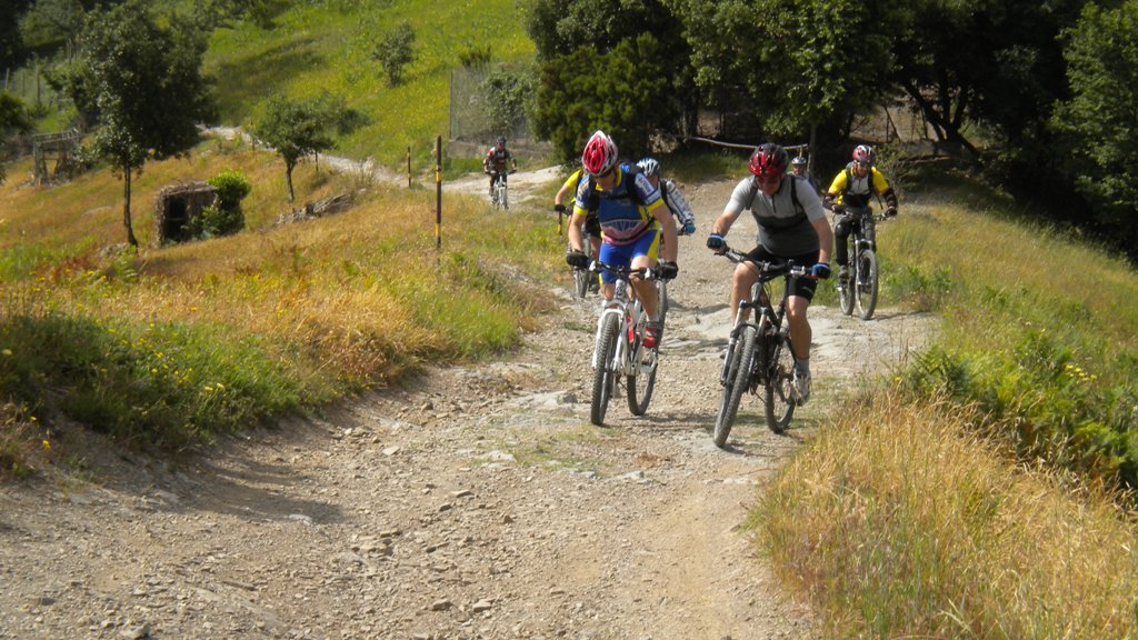 dscn1227.jpg