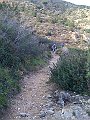 IMG_2234