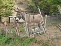 DSCN1457