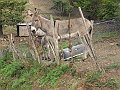 DSCN1458