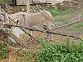 DSCN1459