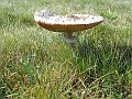 DSCN1491