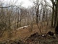 12022011560