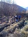 IMG_1785