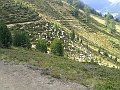 30082011455
