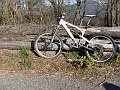 DSC06263