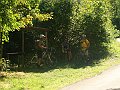 DSC07468