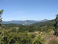DSC07481