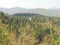 DSCN0483